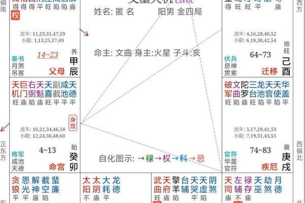 算个紫微斗数 算紫微斗数用什么ai？