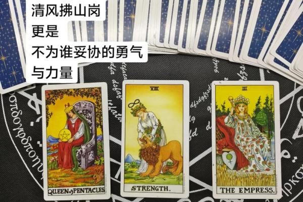 塔罗测试：什么职业适合你？