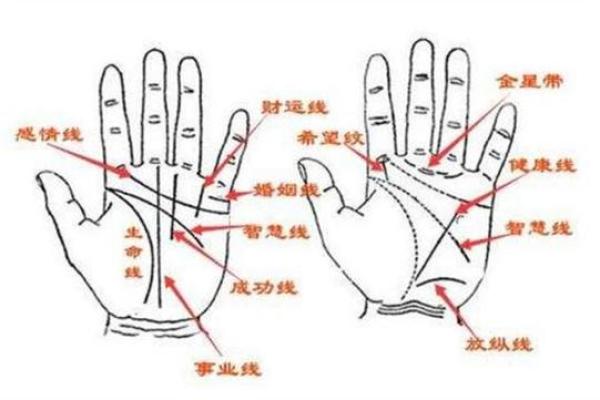 算命是怎样算出来的呢