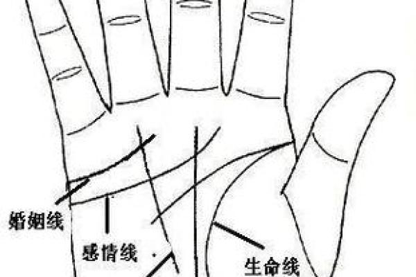 看手相算命图解：掌线