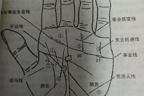 看手相算命图解：掌线