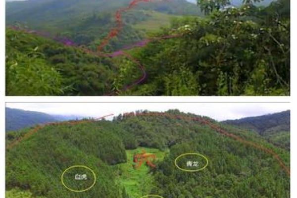 风水原则告诉你怎样挑选墓地