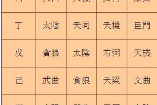 紫微斗数甲乙丙丁星应用 紫薇丁级星？