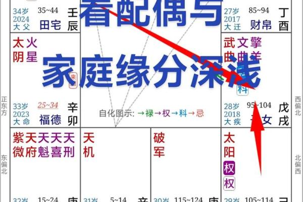 紫薇斗数反主
