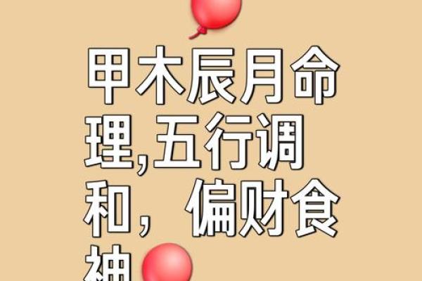 《甲木亥月性格解析及命运分析，详细揭秘八字特点》