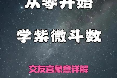 紫微斗数之交友宫与诸星，太阳星在交友宫是什么意思？