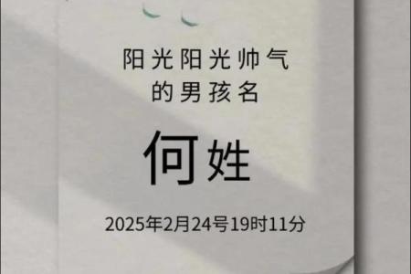 何姓男孩名字大全-何姓男孩起名字大全-何姓名字大全姓名