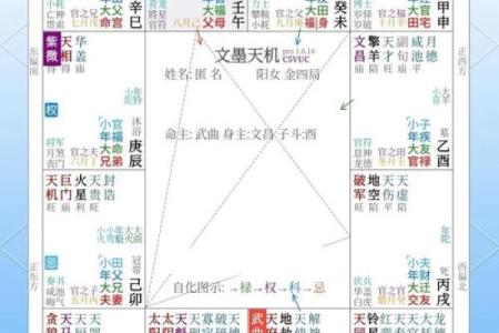紫薇斗数带入法