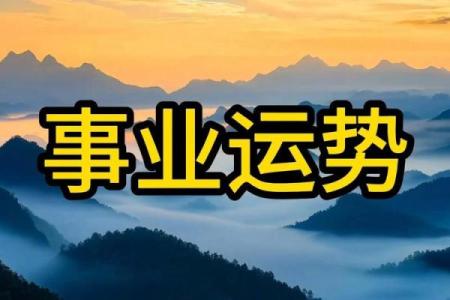 八字看事业