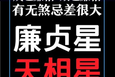 紫薇斗数反主