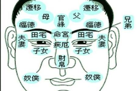 面相额头痣相图解算命