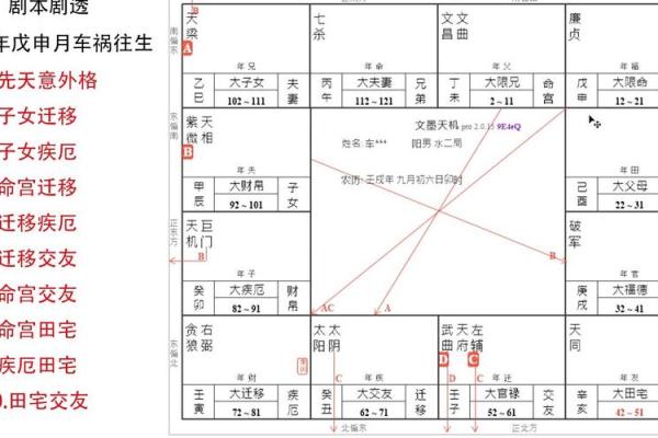 紫薇斗数流年年父