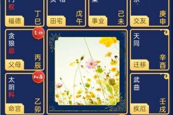 老人紫微斗数 紫微斗数老年运？
