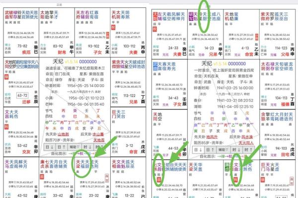 紫薇斗数星星详解