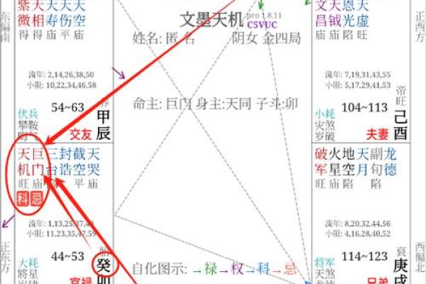 紫微斗数诸星落诸宫之：巨门星财帛宫详解