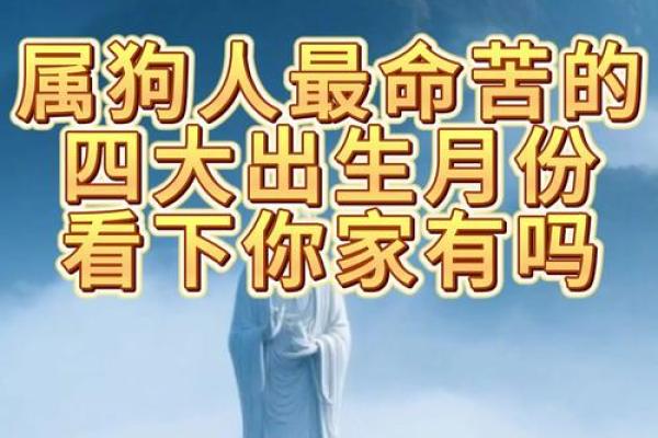 属狗巳时出生的男孩怎样取名字姓名