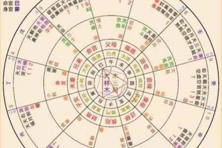紫薇命盘紫薇斗数