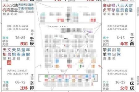 紫微斗数的权星,紫微权忌定位