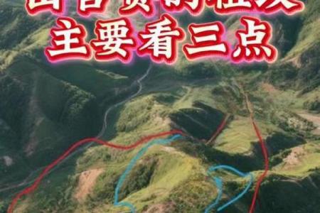 官贵八字