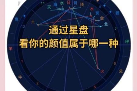 紫薇星盘命主破军