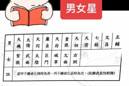 天墨紫薇斗数