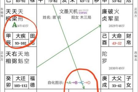 东京紫薇斗数入门
