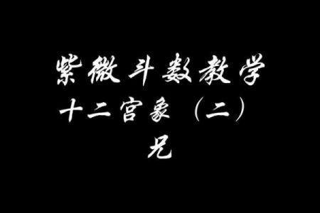 紫薇斗数紫薇在兄弟