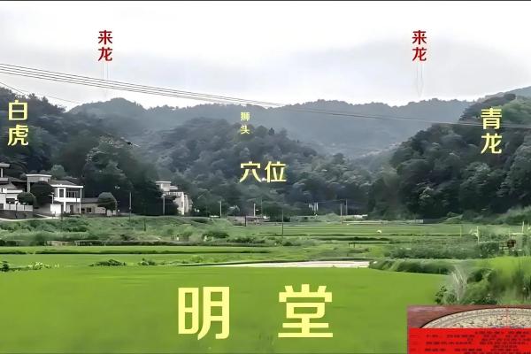 坟地风水方面的知识
