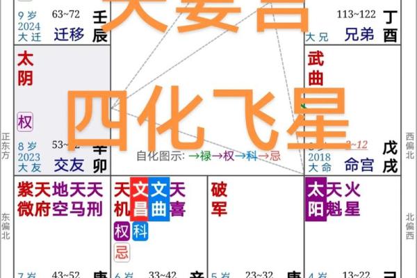 紫微斗数之:四化关系概论 紫微斗数之:四化关系概论