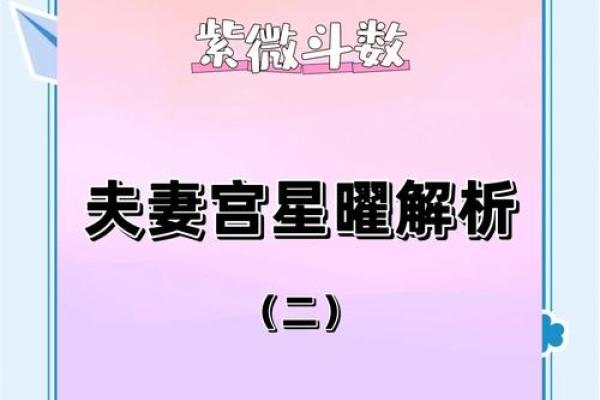 紫薇斗数算配偶