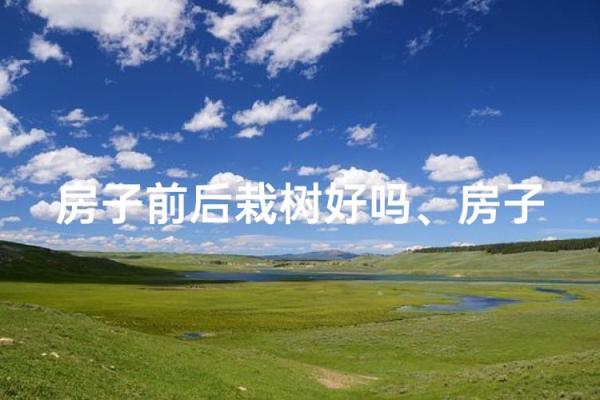 别乱栽树，坏了风水哭都来不及