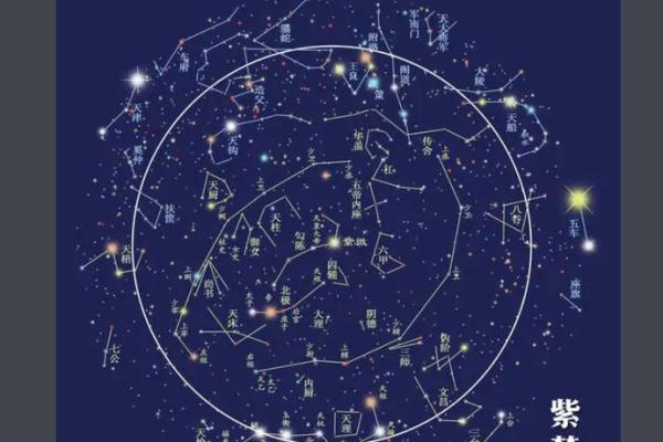 紫薇斗数重逢