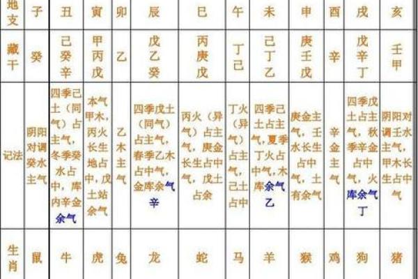 午时八字