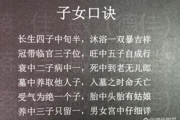 风水也分性别？旺女风水大公开