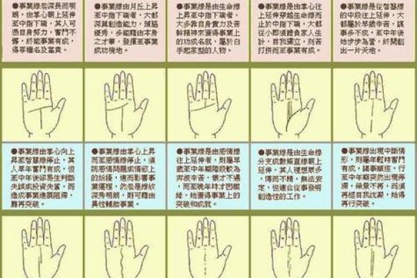 怎么看手相女八字命理详解