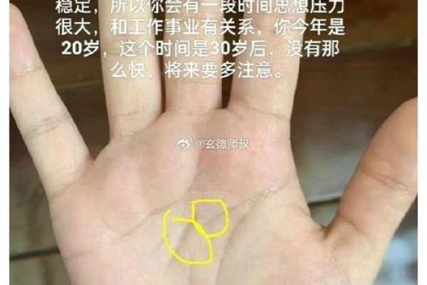 怎么看手相女八字命理详解