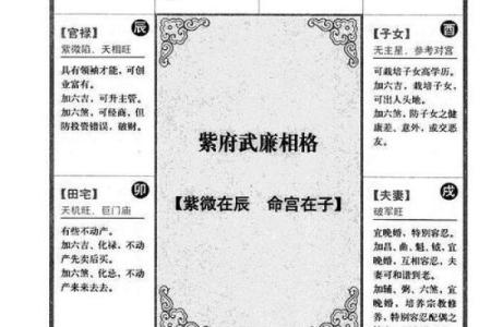 紫微斗数诸星落命宫之：生年将前十二神详解