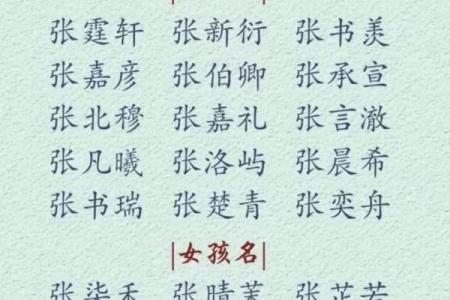 2019年3月23号巳时出生的男孩如何起名姓名