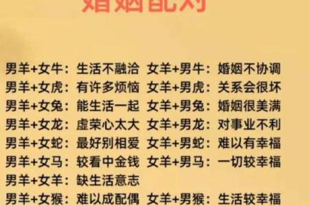 男女姓名配对结果查询 男女姓名配对测试？
