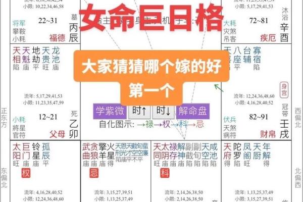 紫薇斗数命主详解