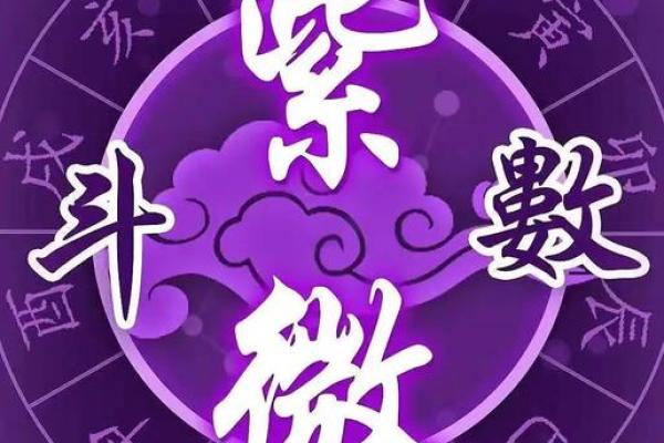 紫薇斗数流星
