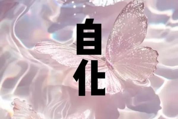 河洛派紫薇斗数