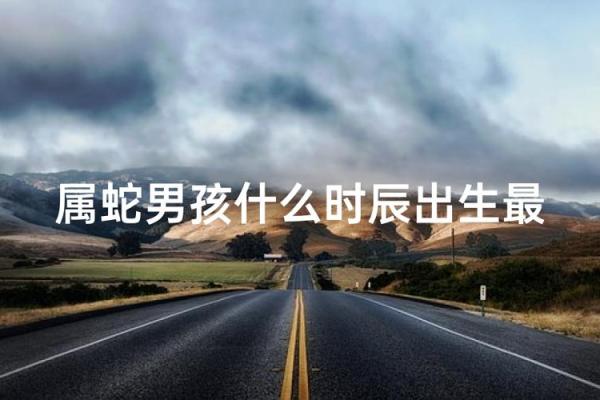属蛇丑时出生的男孩怎么取名字，宜用什么字姓名
