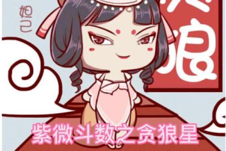 紫微斗数之兄弟宫与诸星,贪狼星在兄弟宫是什么意思？
