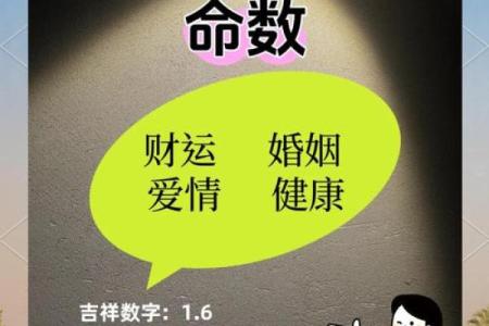 百分算命