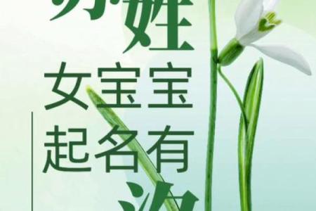 苏姓女孩名字大全-苏姓女孩起名字大全-苏姓名字大全姓名