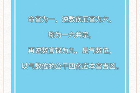 河洛派紫薇斗数