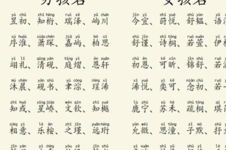 2019年3月17号辰时出生的男孩应该起什么样的名字姓名
