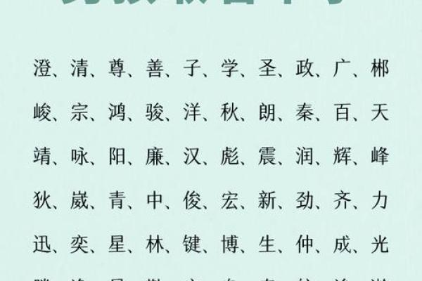 晚上1点出生的属鼠男孩取名大全姓名