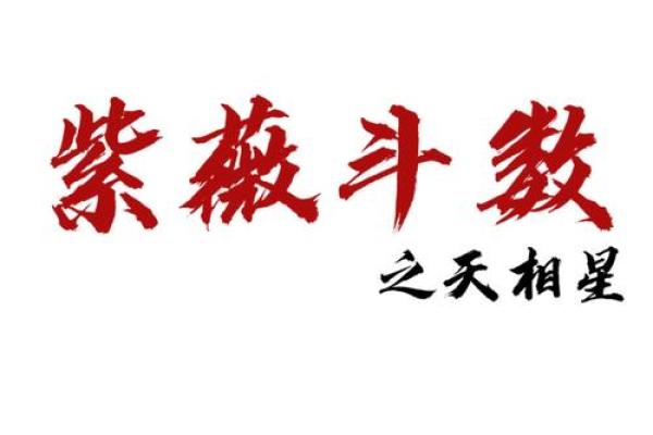 紫薇斗数+天煞